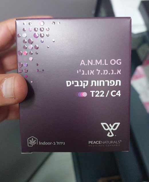 א.נ.מ.ל או.ג'י (A.N.M.L OG) – אינדיקה T22/C4