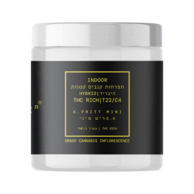 א.פריט מיני (A.Fritt Mini) – היבריד T22/C4