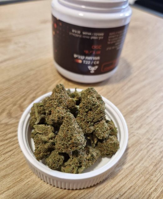 או.ג'י.סי (OGC) – סאטיבה T22/C4