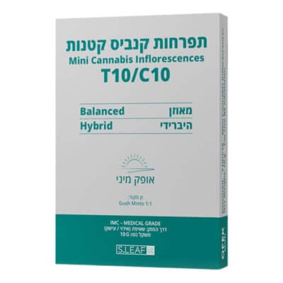 אופק מיני (Ofek Mini) – היבריד T10/C10