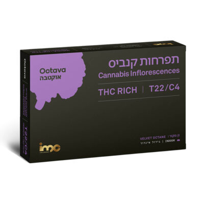 אוקטבה (Octava) – אינדיקה T22/C4