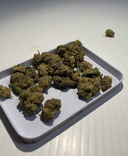 איזדורה (Isadora) – אינדיקה T22/C4