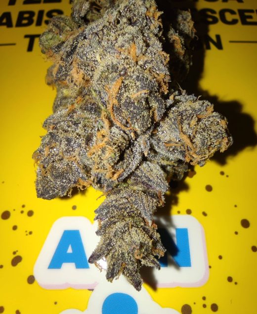 איי בי אן (ABN) – אינדיקה T22/C4