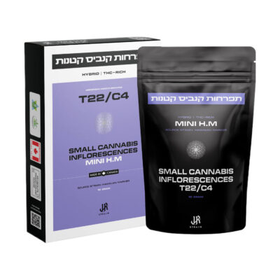 אייץ'.אם מיני (H.M Mini) – היבריד T22/C4