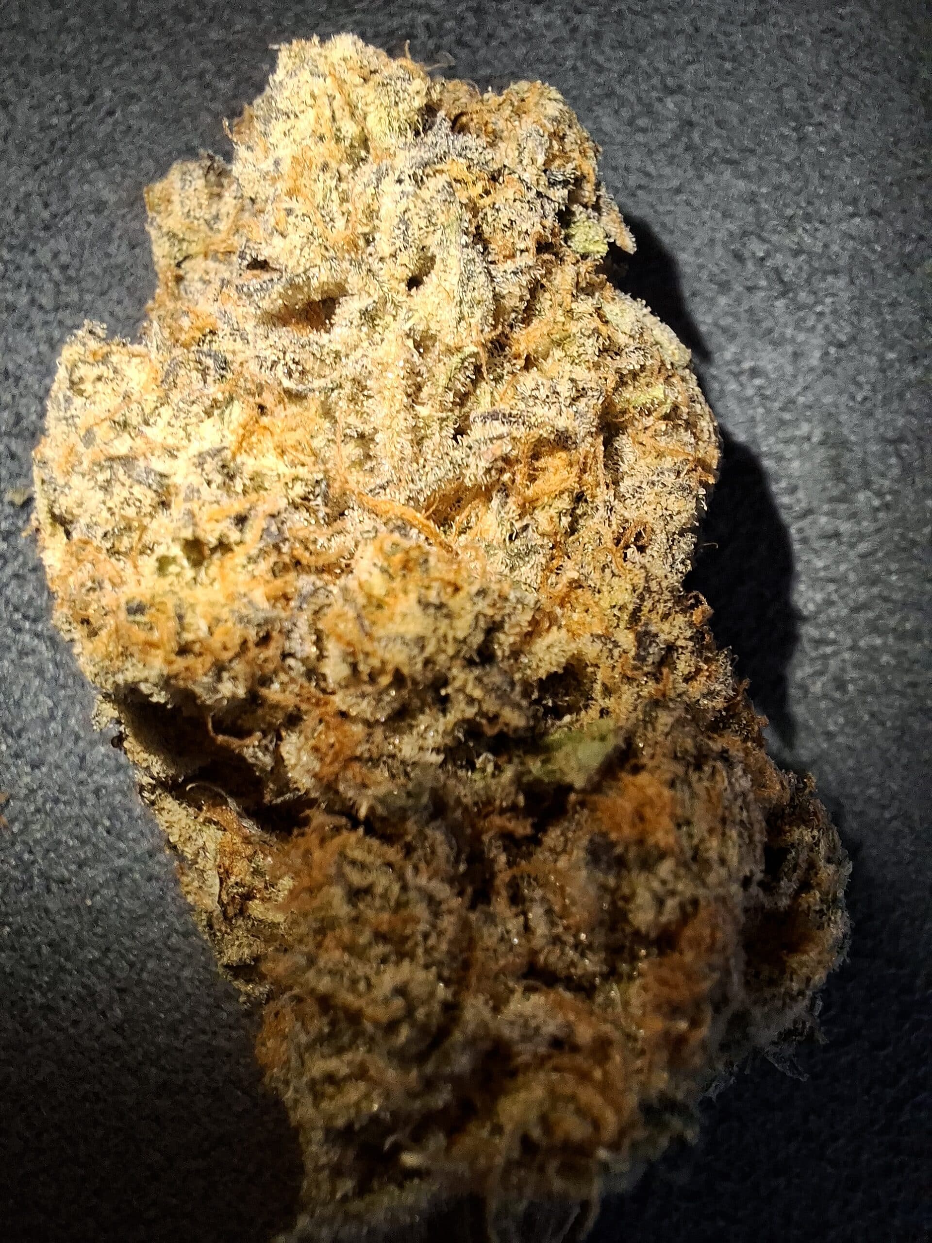 אייץ' אר (HR) – היבריד T22/C4