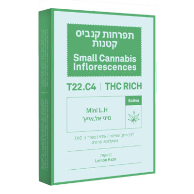 אל.אייץ' מיני (L.H Mini) – סאטיבה T22/C4