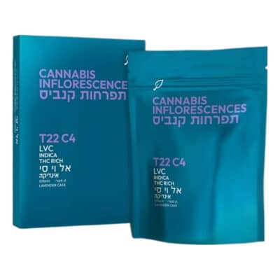 אל וי סי (LVC) – אינדיקה T22/C4