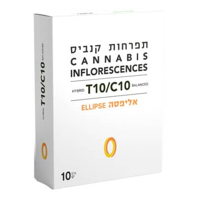 אליפסה (Ellipse) – היבריד T10/C0