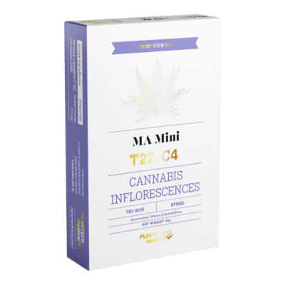 אם איי מיני (MA Mini) – היבריד T22/C4