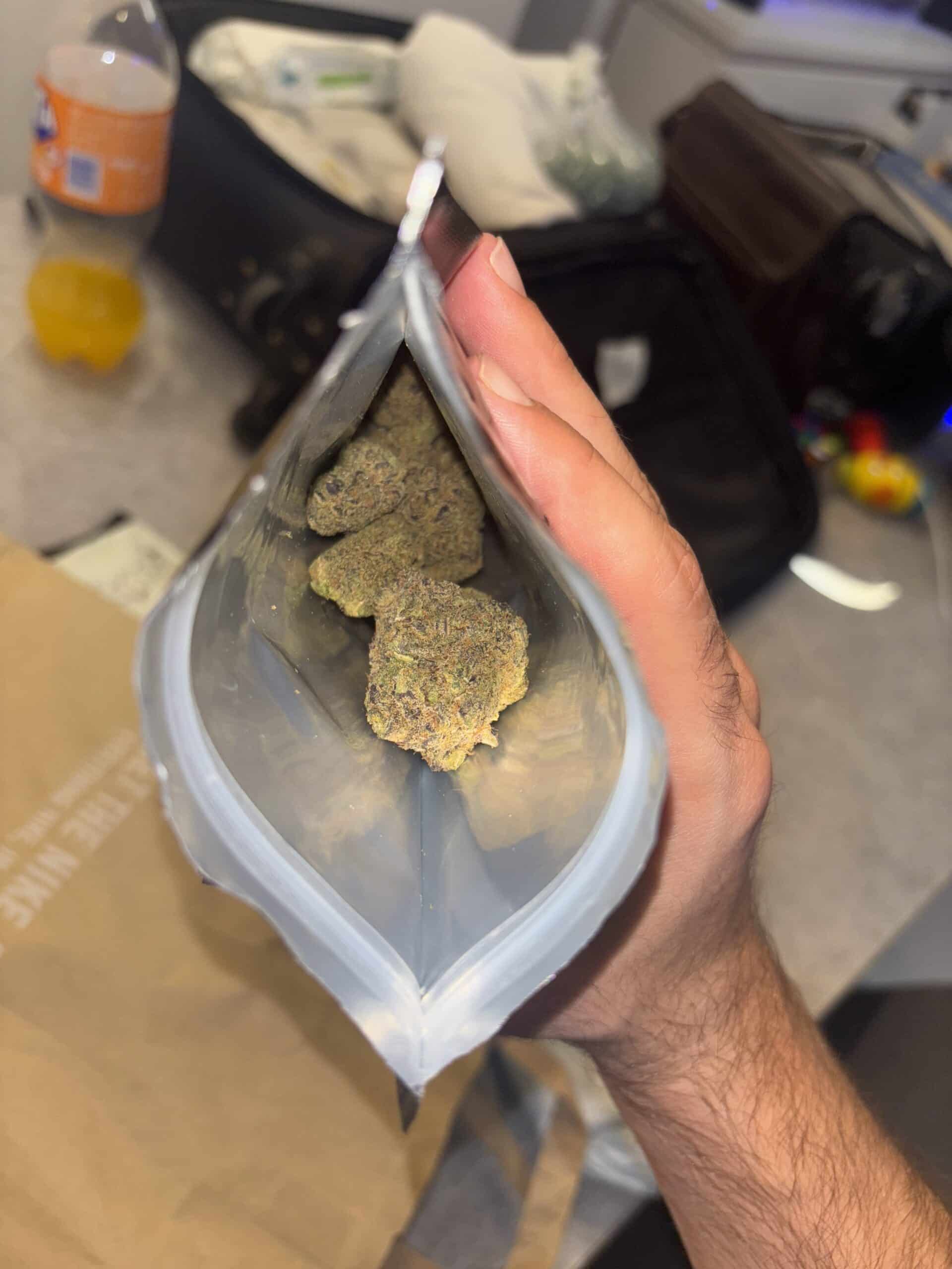 אסטרה (Astra) – אינדיקה T22/C4