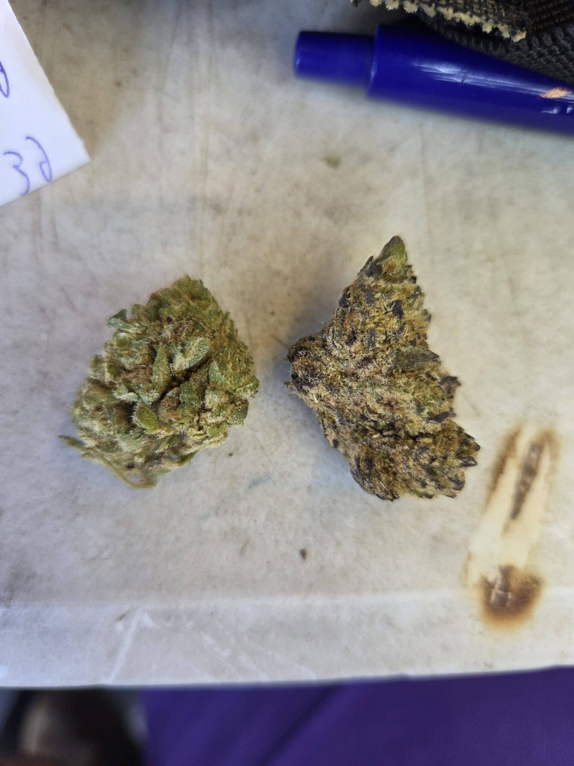 אסטרו-ג'י מיני (Astro-G Mini) – היבריד T22/C4