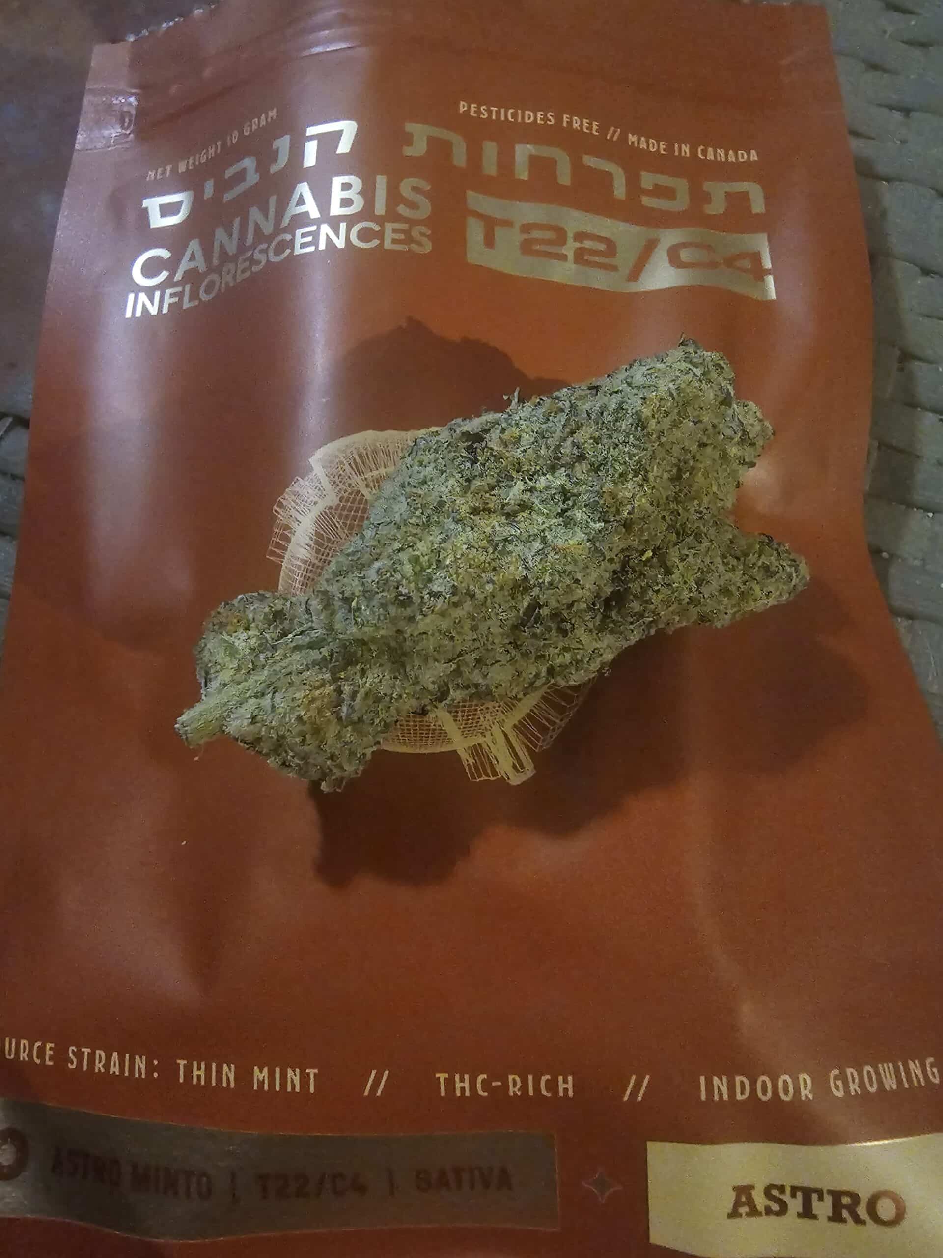 אסטרו מינטו (Astro Minto) – סאטיבה T22/C4