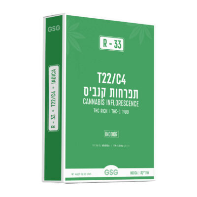אר-33 (R-33) – אינדיקה T22/C4