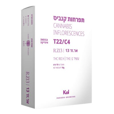 אר.זד 13 (R.Z13) – אינדיקה T22/C4