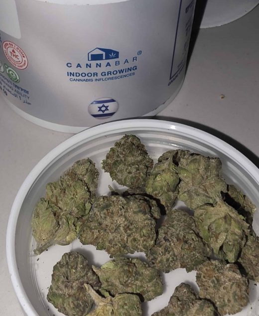 אר.טי.זד מיני (RTZ Mini) – היבריד T22/C4