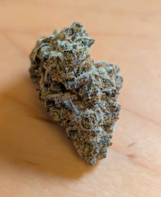 בי אל בי (B.L.B) – אינדיקה T22/C4