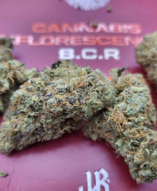 בי.סי.אר (B.C.R) – אינדיקה T22/C4