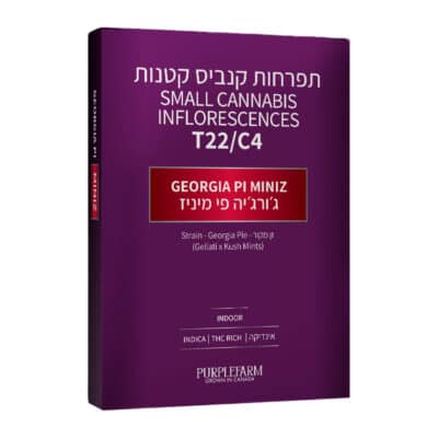 ג'ורג'יה פי מיניז (Georgia Pi Miniz) – אינדיקה T22/C4