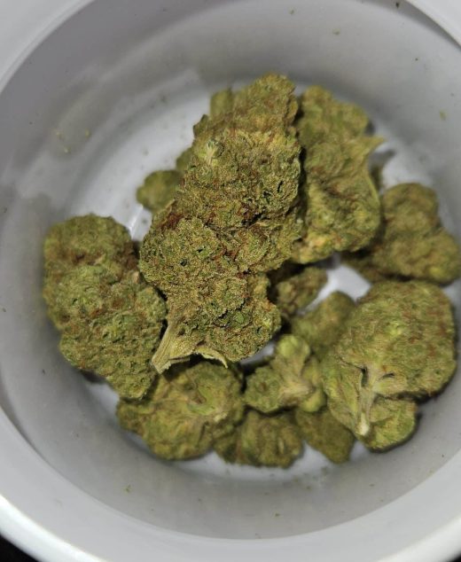 ג'י. או. ג'י (G.O.G) – סאטיבה T22/C4