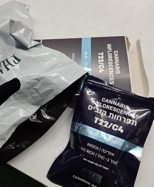 ג'י.איי – סי.סי.קיי (G.A – C.C.K) – אינדיקה T22/C4