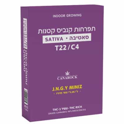 ג'י.אנ.ג'י וואי מיניז (J.N.G.Y Miniz) – סאטיבה T22/C4