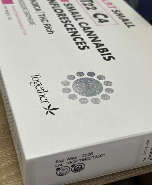 ג'י.פי.טי סמול (G.P.T Small) – אינדיקה T22/C4