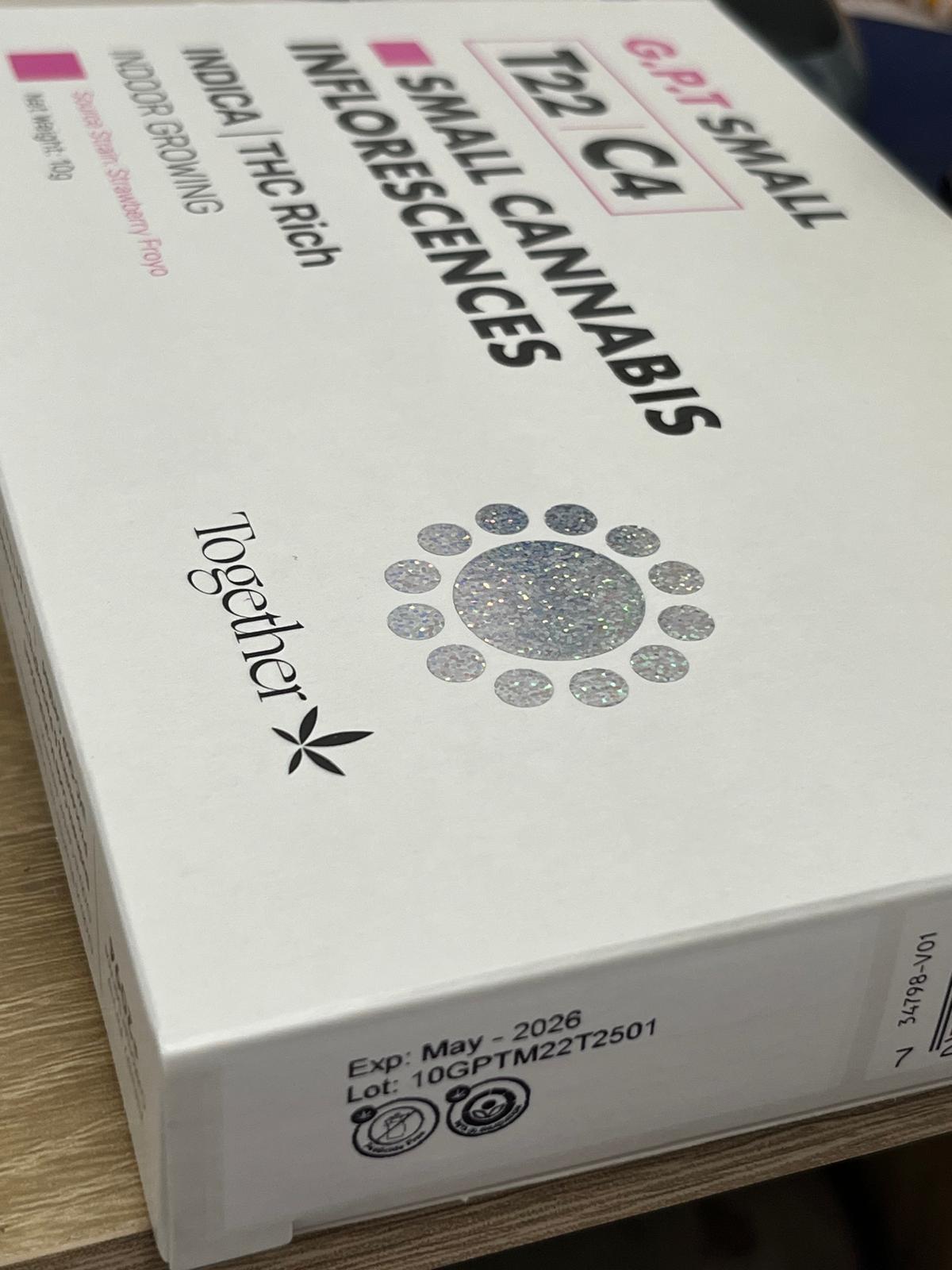 ג'י.פי.טי סמול (G.P.T Small) – אינדיקה T22/C4