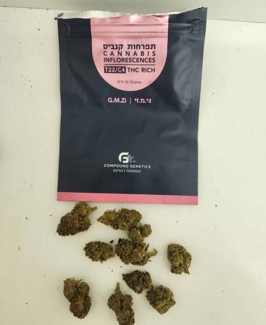 גי.מ.זי (G.M.Zi) – אינדיקה T22/C4