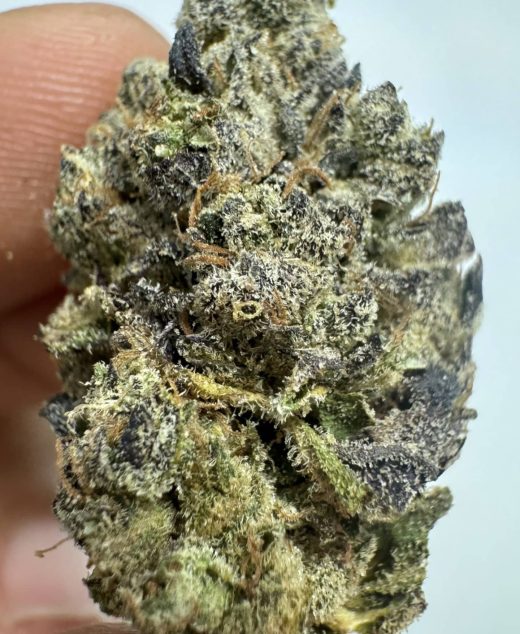 גר.ליקס (Gar.Lix) – אינדיקה T22/C4