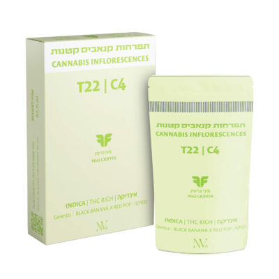 גריפין מיני (Griffiin Mini) – אינדיקה T22/C4