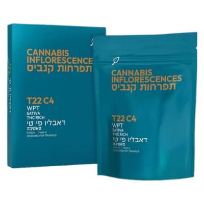 דאבליו פי טי (WPT) – סאטיבה T22/C4