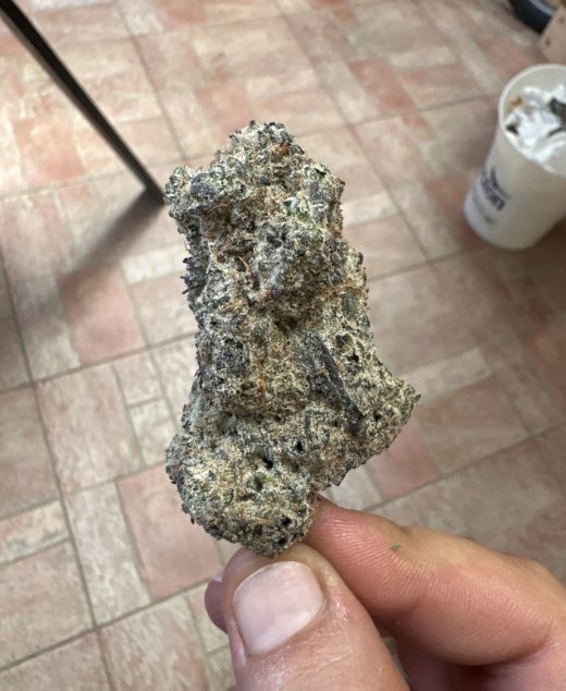 דאנטה (Dante) – אינדיקה T22/C4