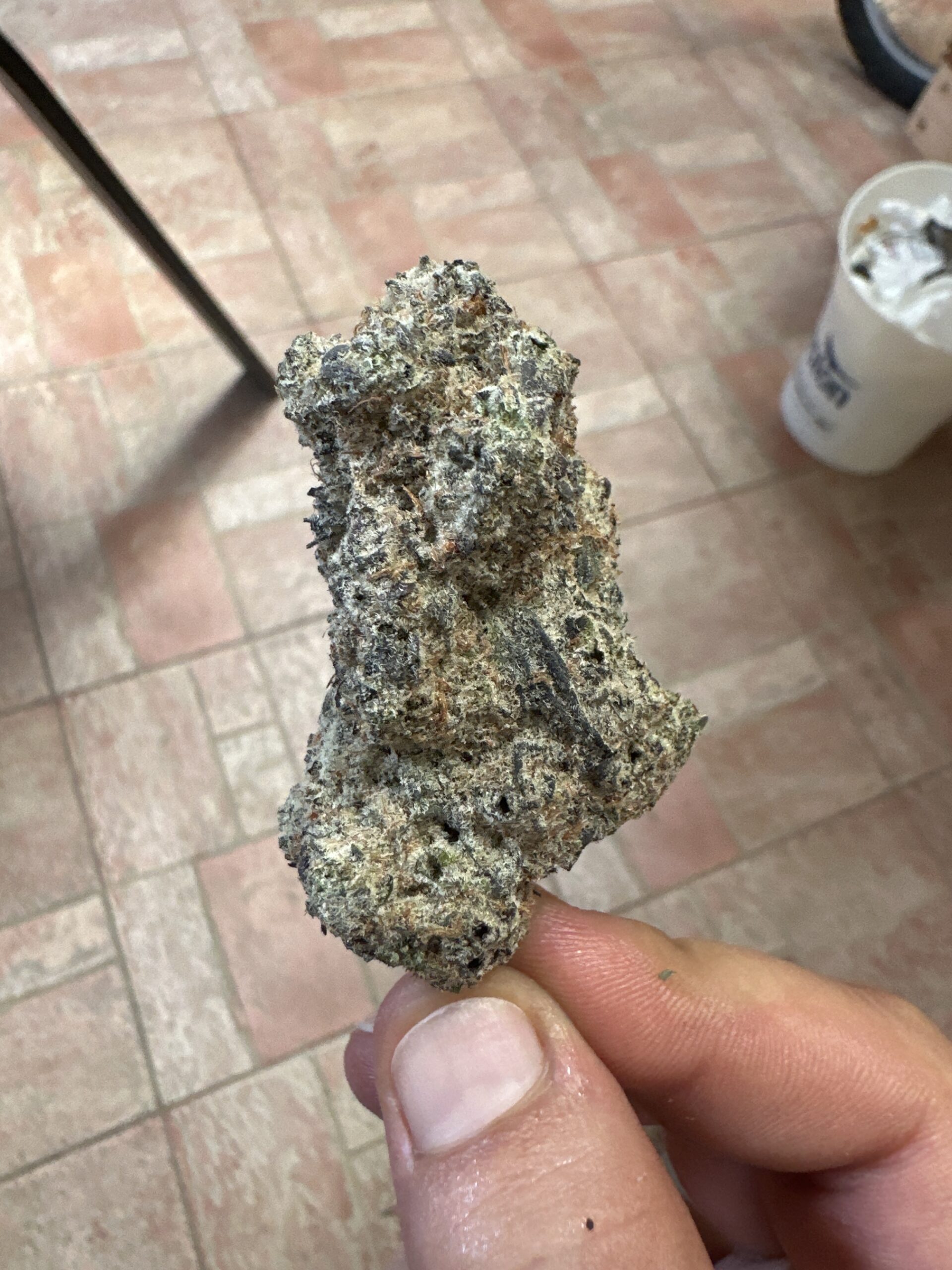 דאנטה (Dante) – אינדיקה T22/C4