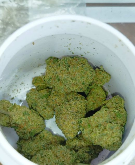 דו סי דו (Do Si Do) – היבריד T22/C4