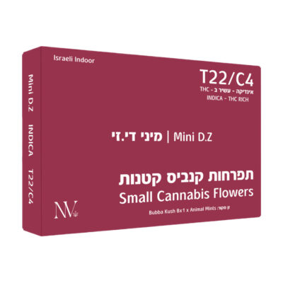 די.זי מיני (D.Z Mini) – אינדיקה T22/C4