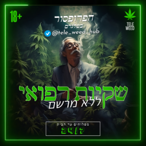 טלגראס כיוונים הפרופסור
