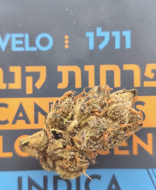 וולו (Velo) – אינדיקה T22/C4