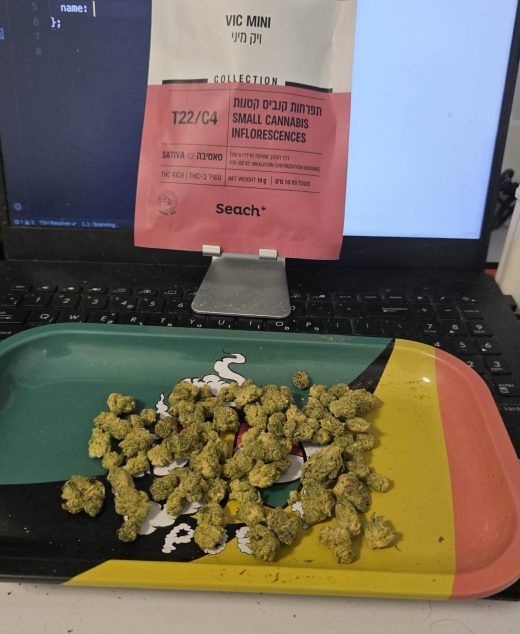 ויק מיני (Vic Mini) – סאטיבה T22/C4