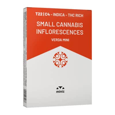 ורדה מיני (Verda Mini) – אינדיקה T22/C4