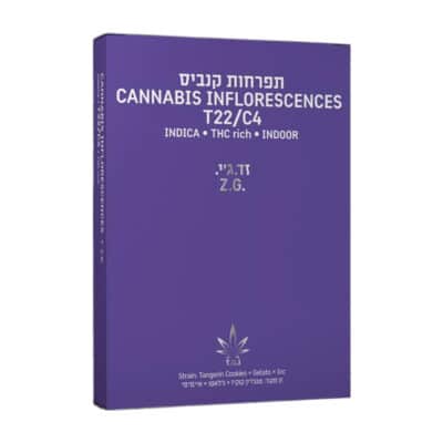 זד.ג'י. (Z.G.) – אינדיקה T22/C4