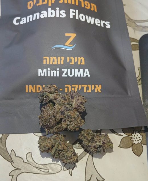 זומה מיני (Zuma Mini) – אינדיקה T22/C4