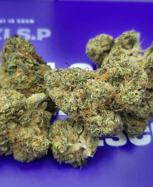 טיקי אס.פי (Tiki S.P) – אינדיקה T22/C4