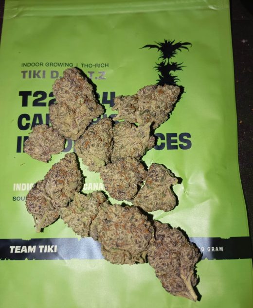 טיקי ד.ר.נ.ט.ז (Tiki D.R.N.T.Z) – אינדיקה T22/C4