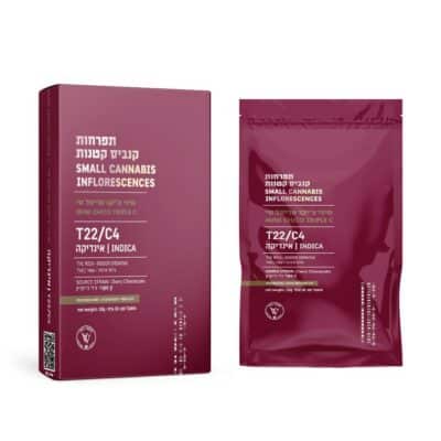 טריפל סי צ'יקו מיני (Triple C Chico Mini) – אינדיקה T22/C4