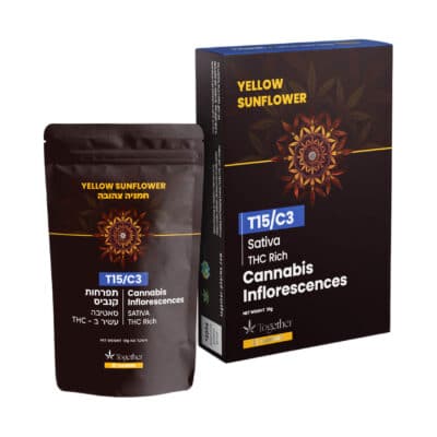 ילו סאנפלאוור (Yellow Sunflower) – סאטיבה T15/C3