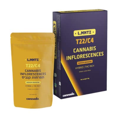 ל.מנטז (L.MNTZ) – היבריד T22/C4