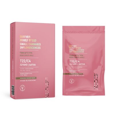 מאלי צ'יקו מיני (‎Mali Chico Mini) – סאטיבה T22/C4