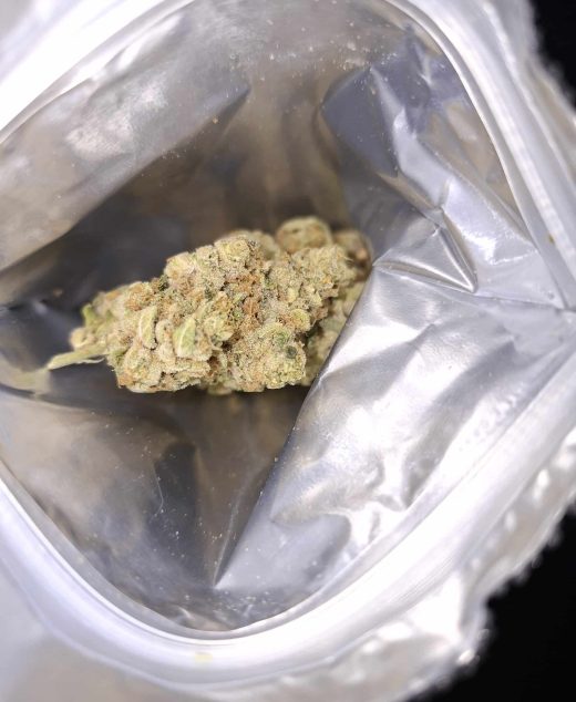 מדיין (Medellin) – סאטיבה T22/C4