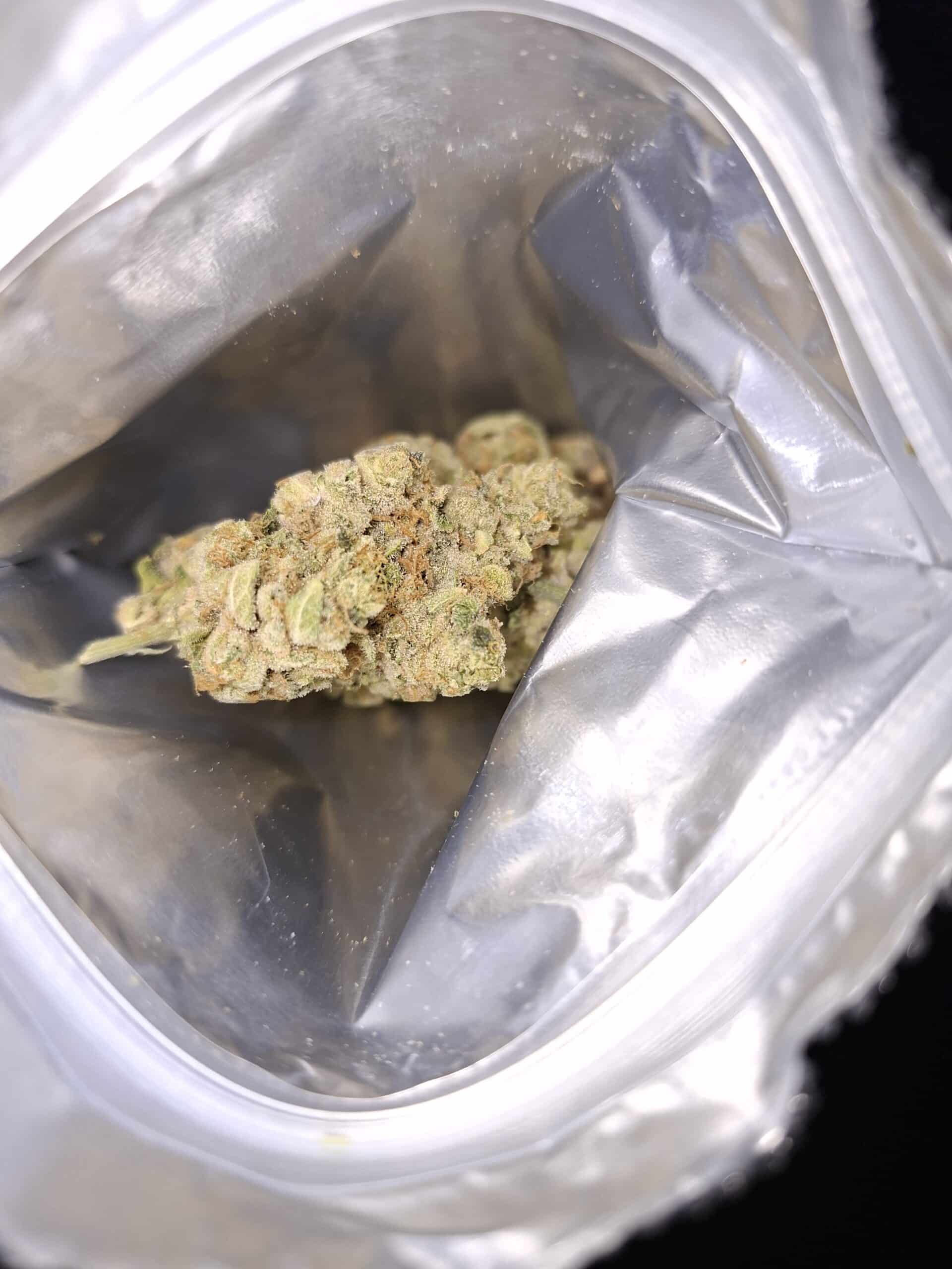 מדיין (Medellin) – סאטיבה T22/C4