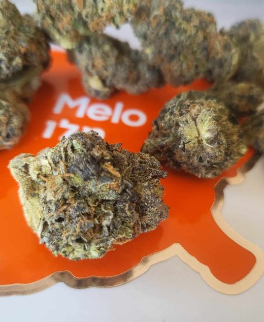 מלו (Melo) – היבריד T22/C4